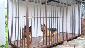 Вольеры для собак с бесплатной доставкой Город Лобня